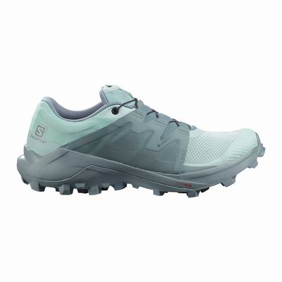 Női Salomon WILDCROSS GTX Terepfutó Cipő SA8790165 Türkiz/Türkiz